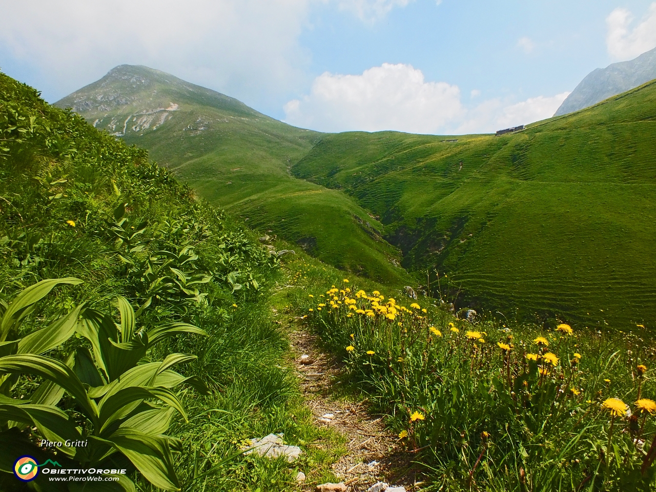 23 Vista in Baita Zuccone e Cima Vindiolo.JPG